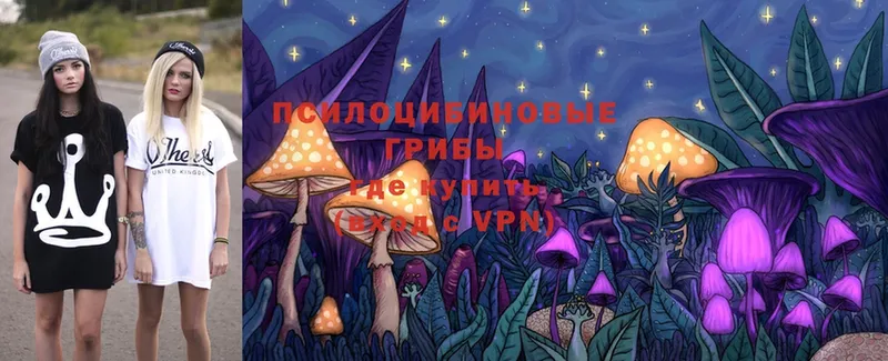 Галлюциногенные грибы MAGIC MUSHROOMS  Калининец 